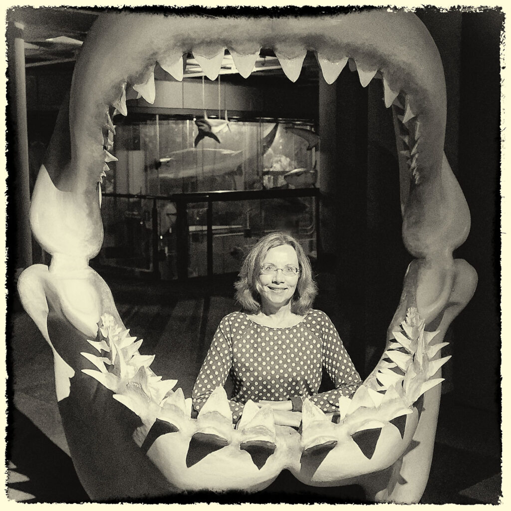 Im Haifischmaul, Naturkundemuseum Kapstadt