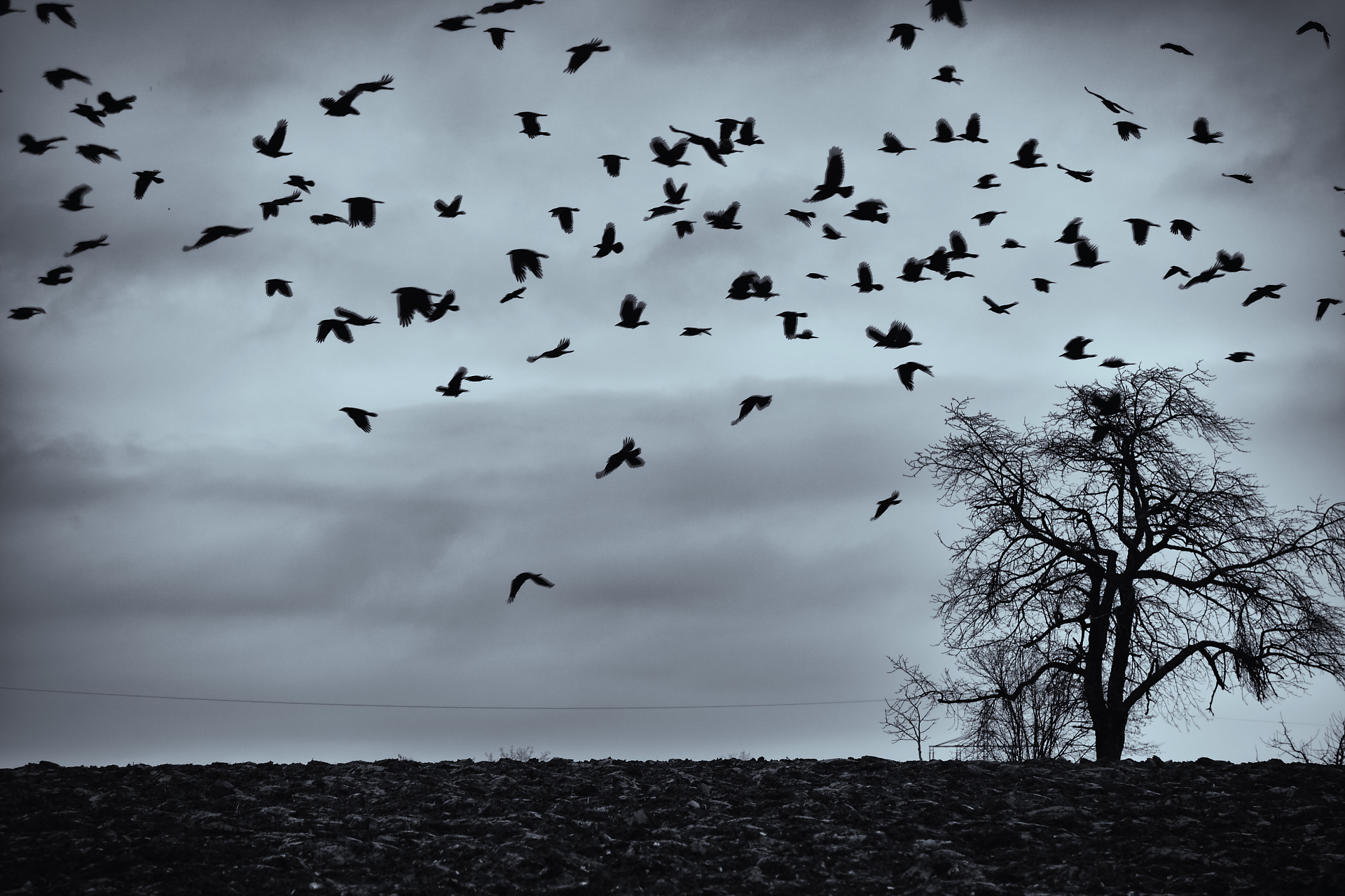 Foto-Fantasien background image