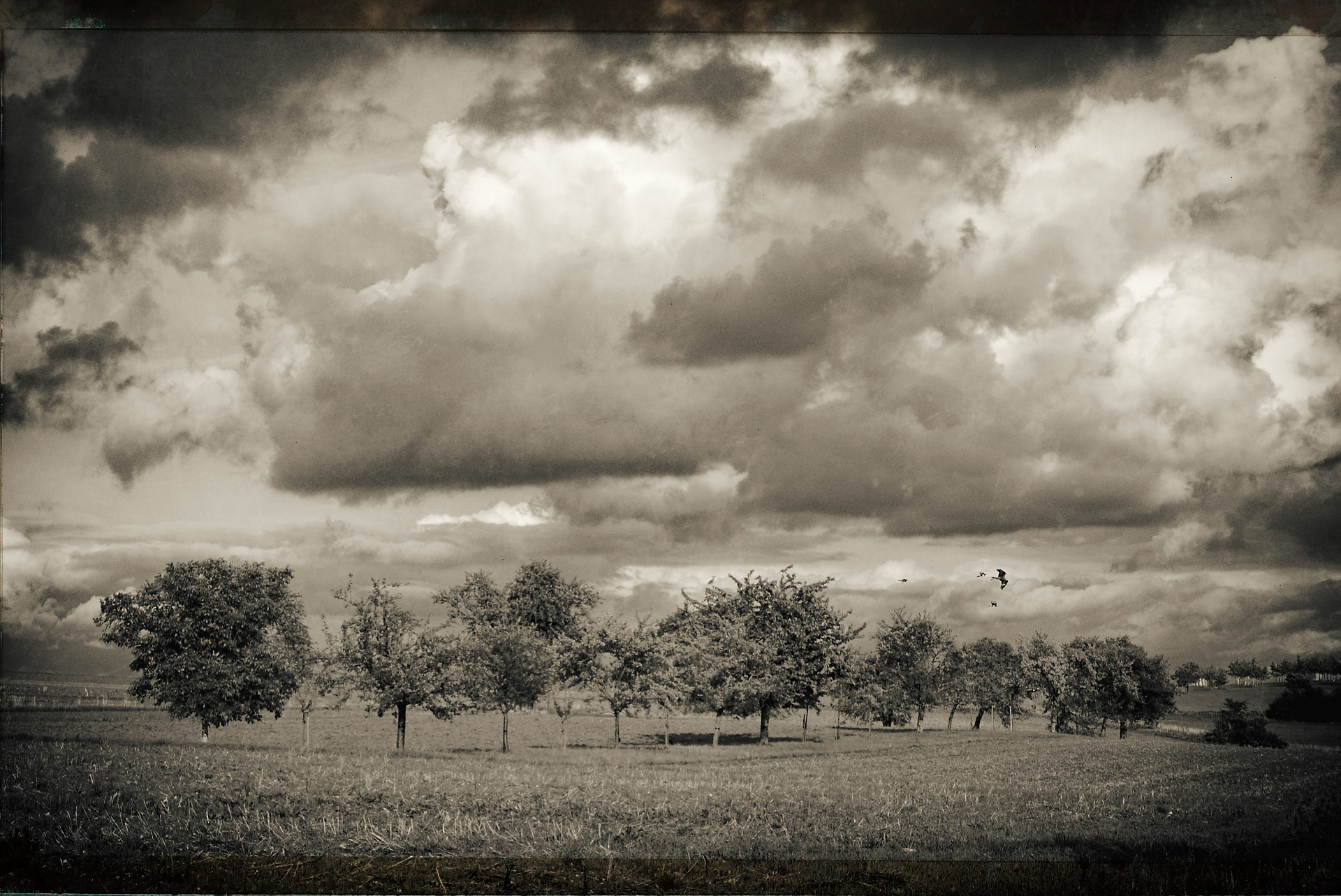 Foto-Fantasien background image