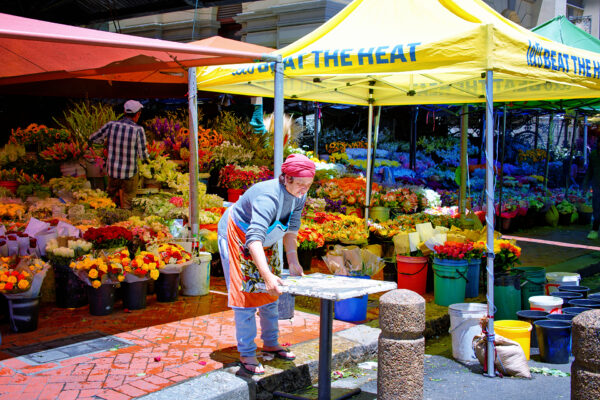 Blumenmarkt am Trafalgar Place in Kapstadt