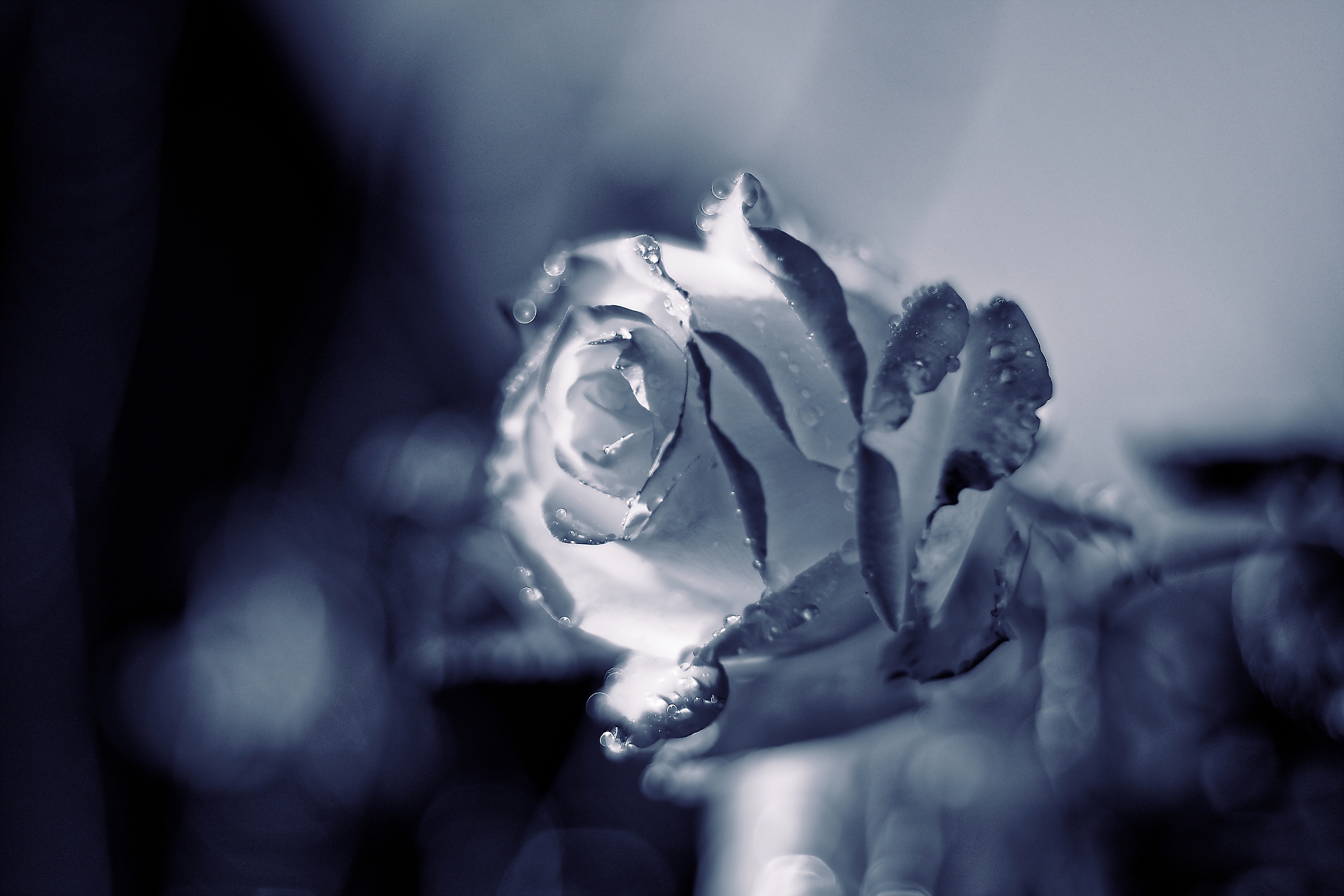 Foto-Fantasien background image