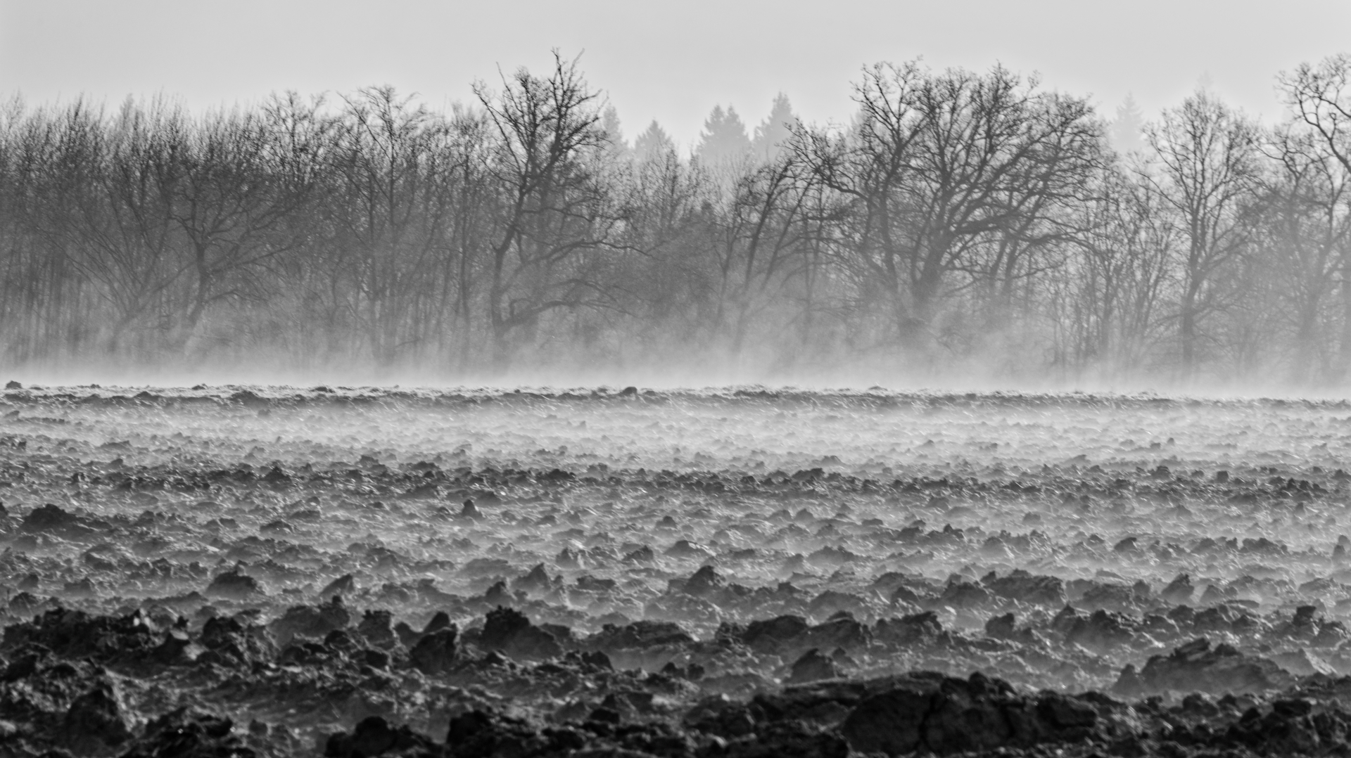 Foto-Fantasien background image