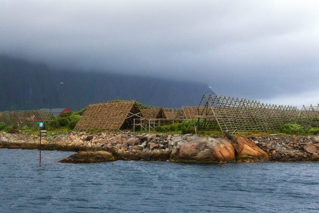 Hjeller, Holzgestelle, auf denen der Kabeljau getrocknet wird, Lofoten, Norwegen