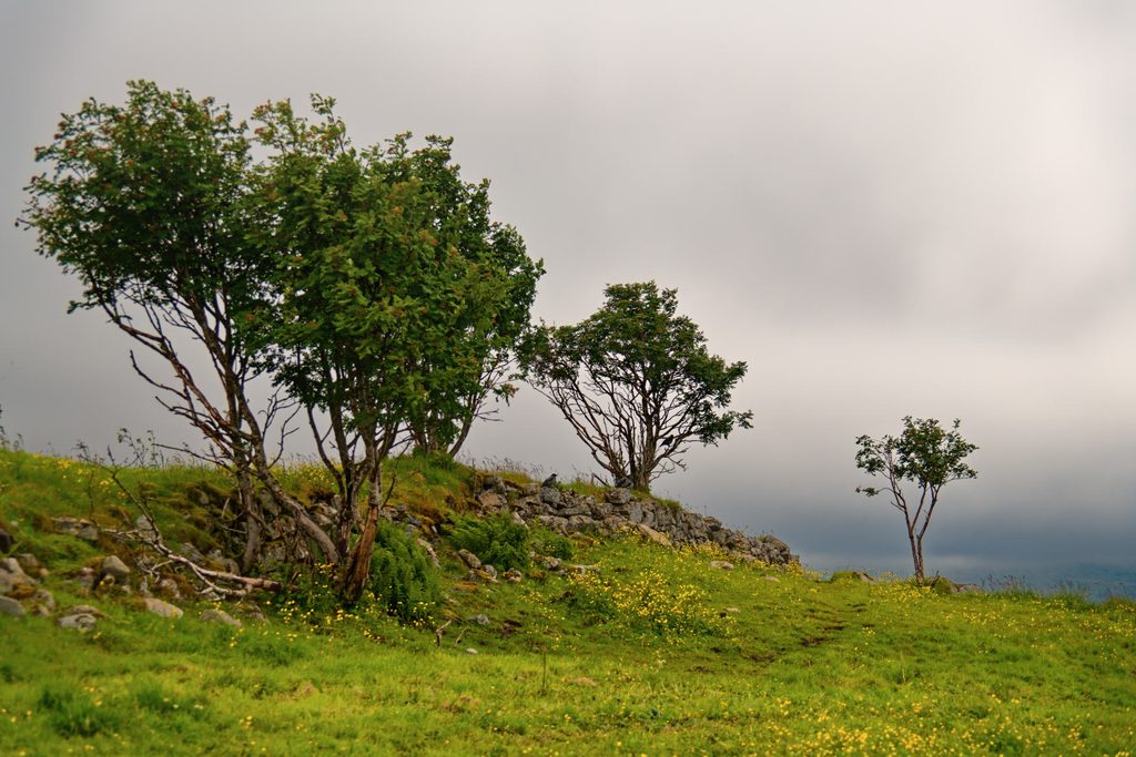 Landschaft in Borg, Lofoten, Norwegen